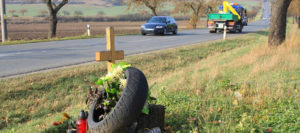 Car accident fatality